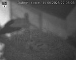 Capi_Dubne_20250615_220503.jpg