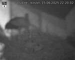 Capi_Dubne_20250615_222002.jpg