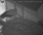 Capi_Dubne_20250615_222503.jpg