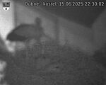 Capi_Dubne_20250615_223002.jpg