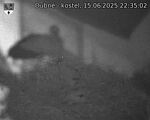 Capi_Dubne_20250615_223502.jpg