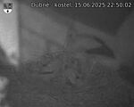 Capi_Dubne_20250615_225002.jpg