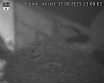 Capi_Dubne_20250615_230002.jpg
