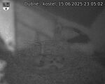 Capi_Dubne_20250615_230502.jpg