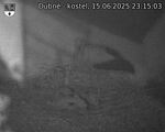 Capi_Dubne_20250615_231503.jpg