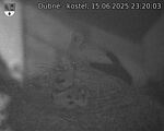 Capi_Dubne_20250615_232003.jpg