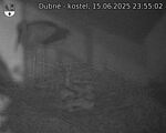 Capi_Dubne_20250615_235502.jpg