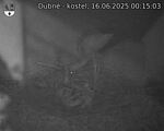 Capi_Dubne_20250616_001503.jpg