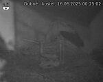 Capi_Dubne_20250616_002502.jpg