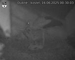 Capi_Dubne_20250616_003003.jpg