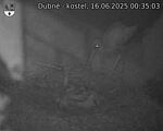 Capi_Dubne_20250616_003503.jpg