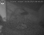 Capi_Dubne_20250616_004503.jpg