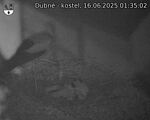 Capi_Dubne_20250616_013502.jpg