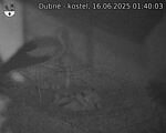 Capi_Dubne_20250616_014003.jpg