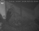 Capi_Dubne_20250616_015503.jpg