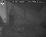 Capi_Dubne_20250616_020002.jpg