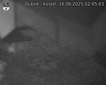 Capi_Dubne_20250616_020503.jpg