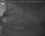 Capi_Dubne_20250616_021003.jpg