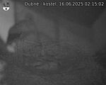 Capi_Dubne_20250616_021502.jpg