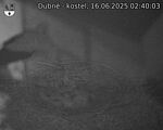 Capi_Dubne_20250616_024003.jpg