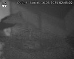 Capi_Dubne_20250616_024502.jpg