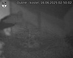 Capi_Dubne_20250616_025002.jpg