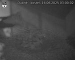 Capi_Dubne_20250616_030002.jpg