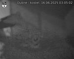 Capi_Dubne_20250616_030502.jpg