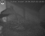 Capi_Dubne_20250616_031003.jpg