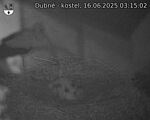 Capi_Dubne_20250616_031502.jpg