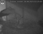Capi_Dubne_20250616_032503.jpg