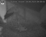 Capi_Dubne_20250616_040002.jpg