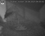 Capi_Dubne_20250616_040502.jpg
