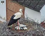 Capi_Dubne_20250616_103002.jpg