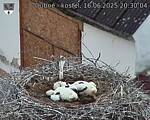 Capi_Dubne_20250616_203004.jpg