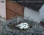 Capi_Dubne_20250616_212003.jpg