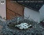 Capi_Dubne_20250616_212503.jpg