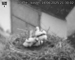 Capi_Dubne_20250616_213002.jpg