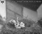 Capi_Dubne_20250616_214002.jpg
