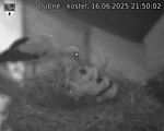 Capi_Dubne_20250616_215002.jpg