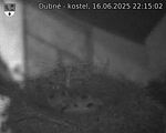 Capi_Dubne_20250616_221502.jpg