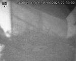 Capi_Dubne_20250616_223002.jpg