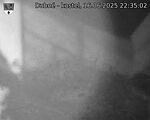 Capi_Dubne_20250616_223502.jpg