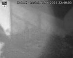 Capi_Dubne_20250616_224003.jpg