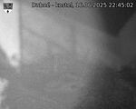 Capi_Dubne_20250616_224502.jpg
