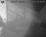 Capi_Dubne_20250616_225002.jpg