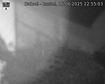 Capi_Dubne_20250616_225503.jpg