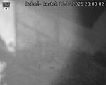 Capi_Dubne_20250616_230002.jpg