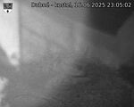 Capi_Dubne_20250616_230502.jpg
