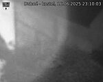 Capi_Dubne_20250616_231003.jpg